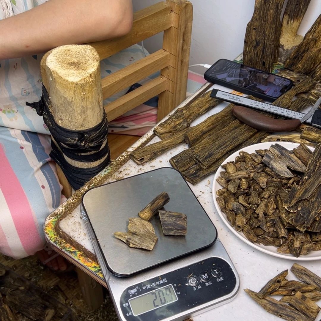 线香奇楠虫漏香20克