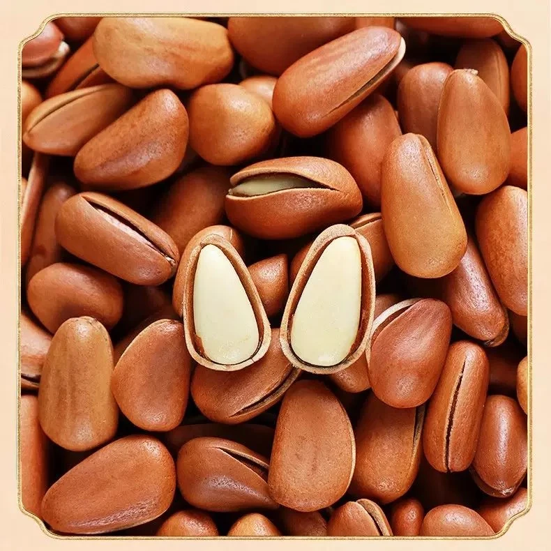 【新疆直发】东北开口红松子大颗粒手剥原味新鲜坚果零食土特产