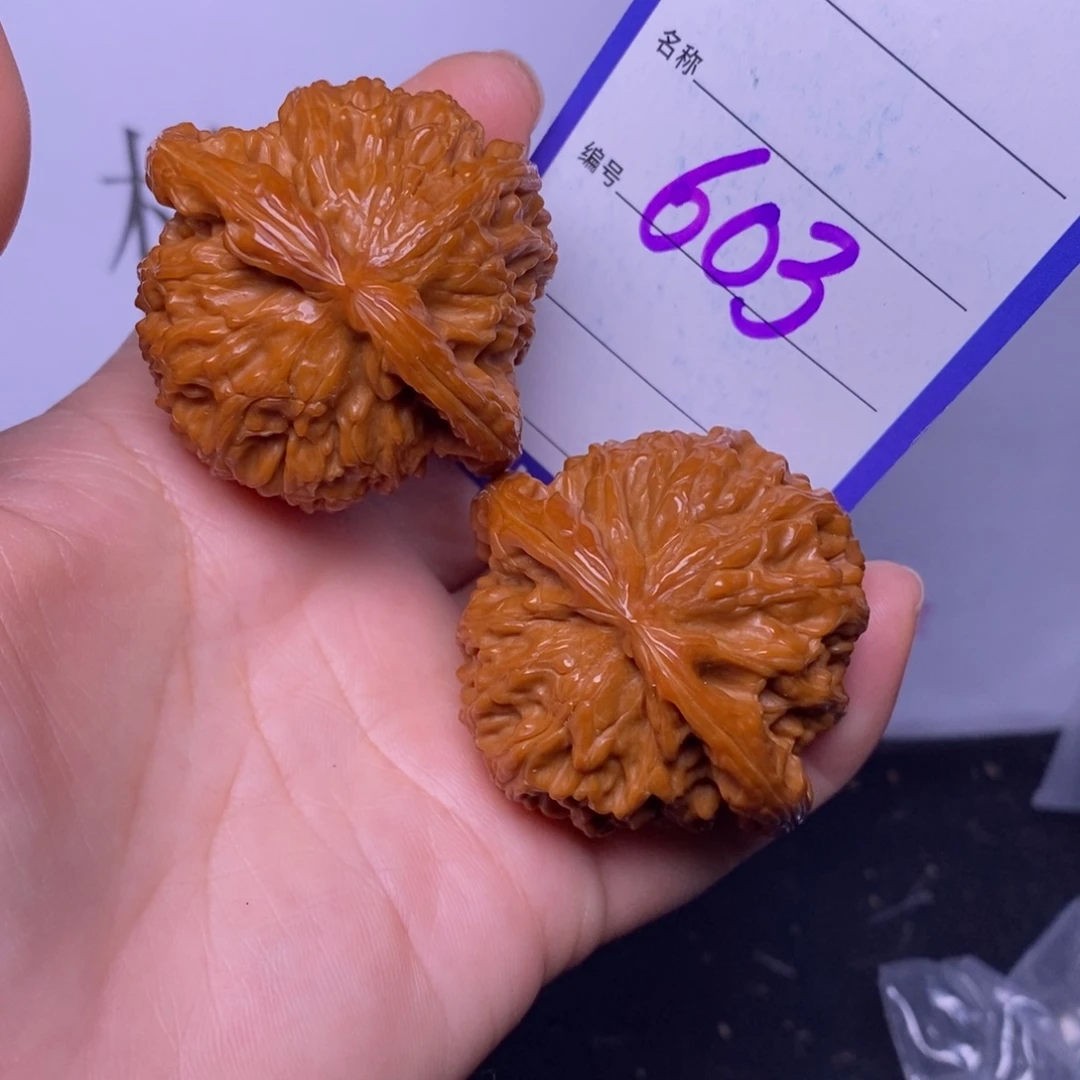 把件文玩核桃603/45白狮子