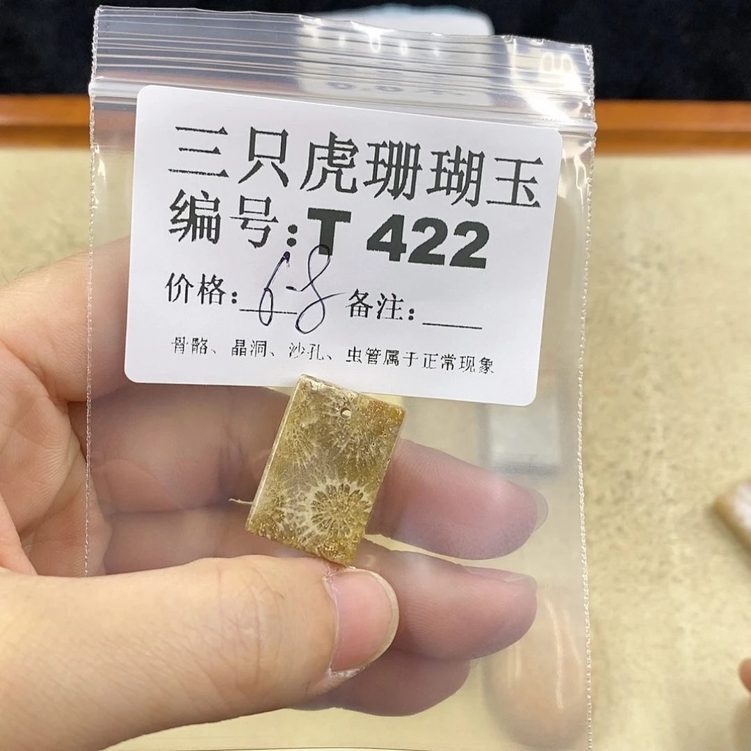 硅化珊瑚（珊瑚玉）1未镶嵌飘
