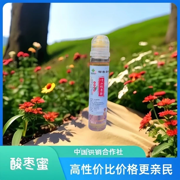 邹鲁圣地峄山酸枣蜜120克一支