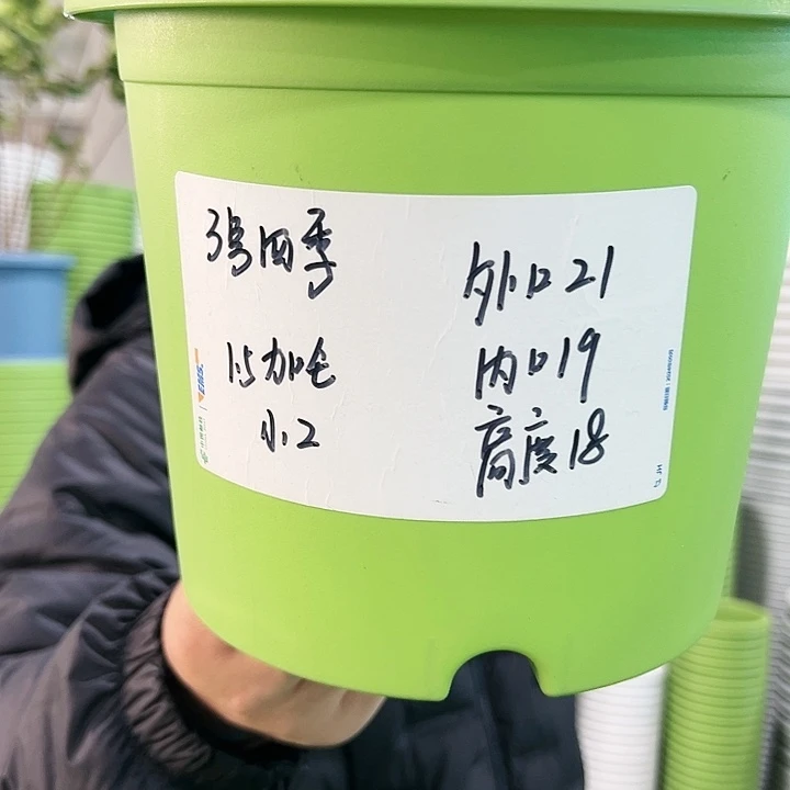 特价3号四季口21高18白色10个无托