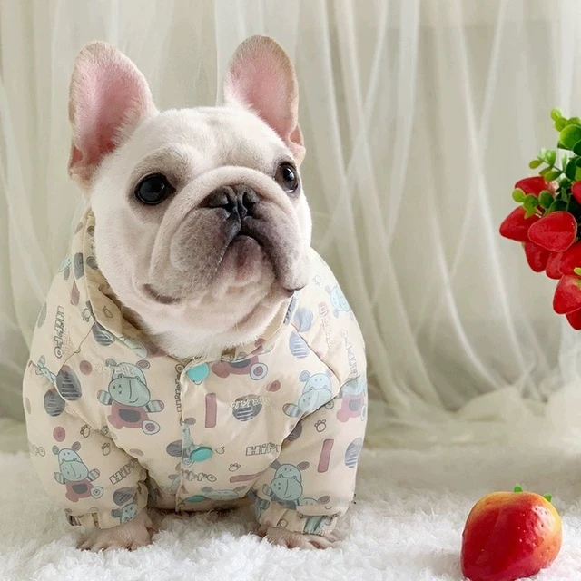 2024法斗衣服厚款冬装加厚夹棉巴哥犬衣服斗牛犬胖狗棉服充棉冬季