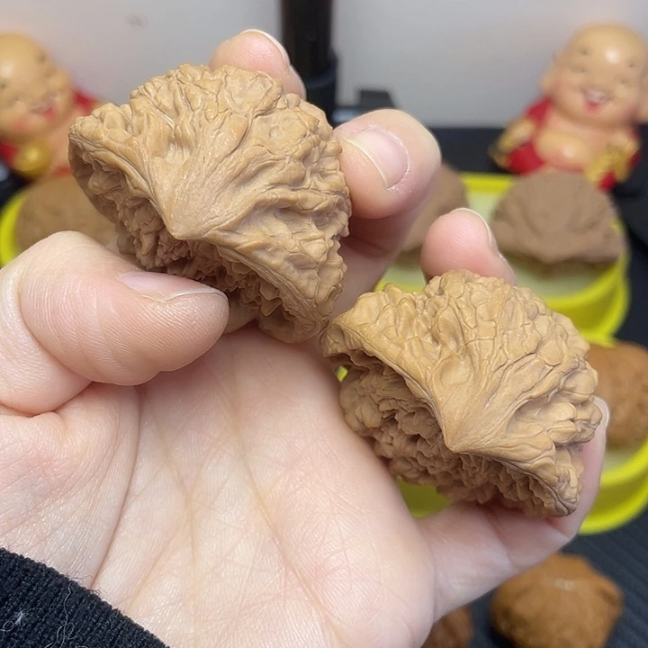 聚宝盆46全品。