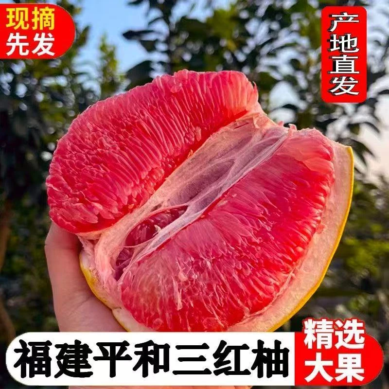 福建平和老树三红蜜柚当季新鲜果肉饱满汁水充沛