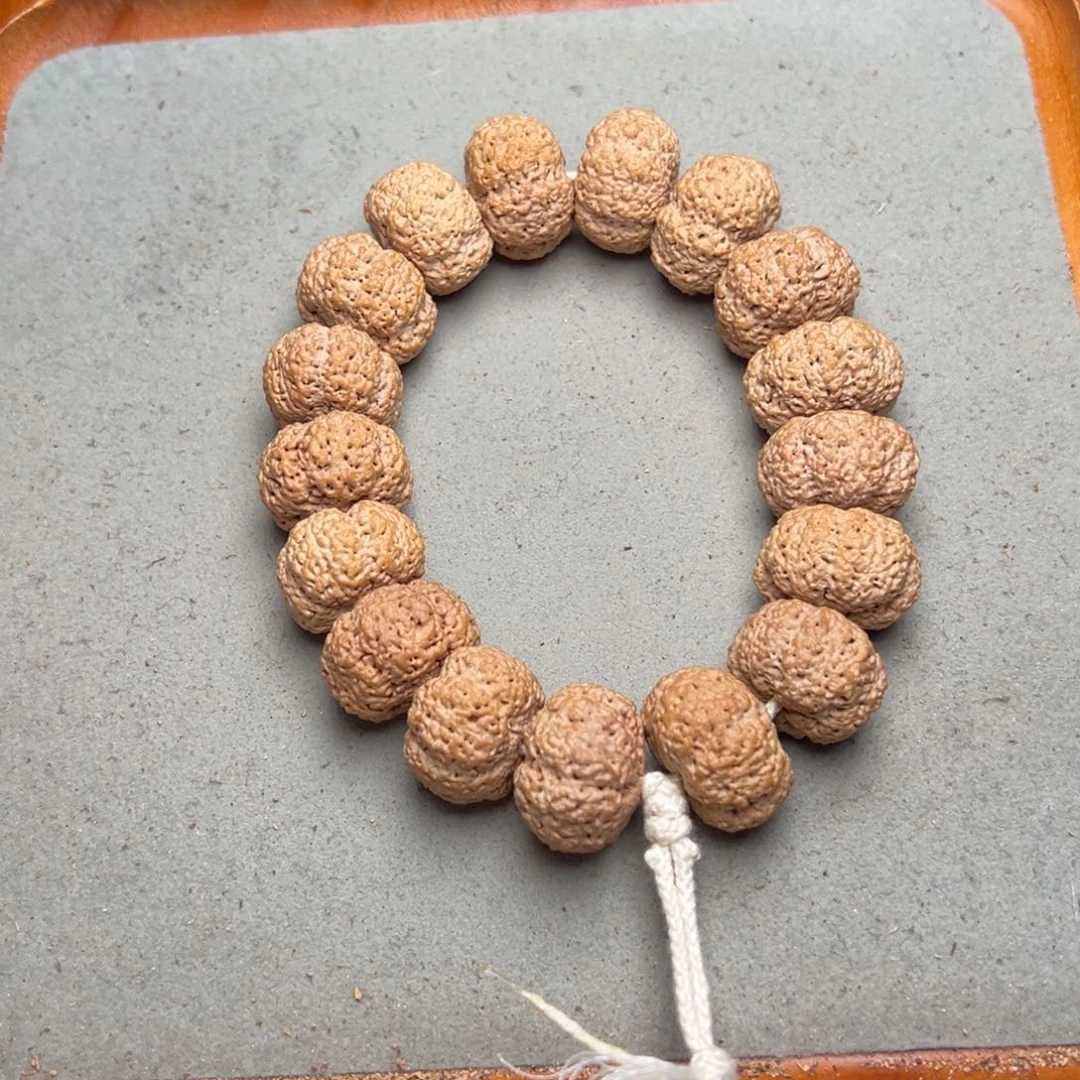 菩提3号金刚菩提熊猫夹板菠萝蜜22超头