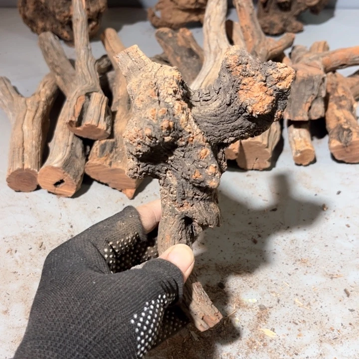 黑***队大果紫檀（缅甸花梨）