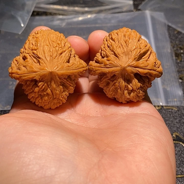 木***杨核桃手串/手链37 南疆