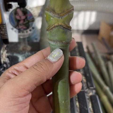 ✘***洒实心竹竹竹竹竹竹竹竹竹竹竹竹竹竹