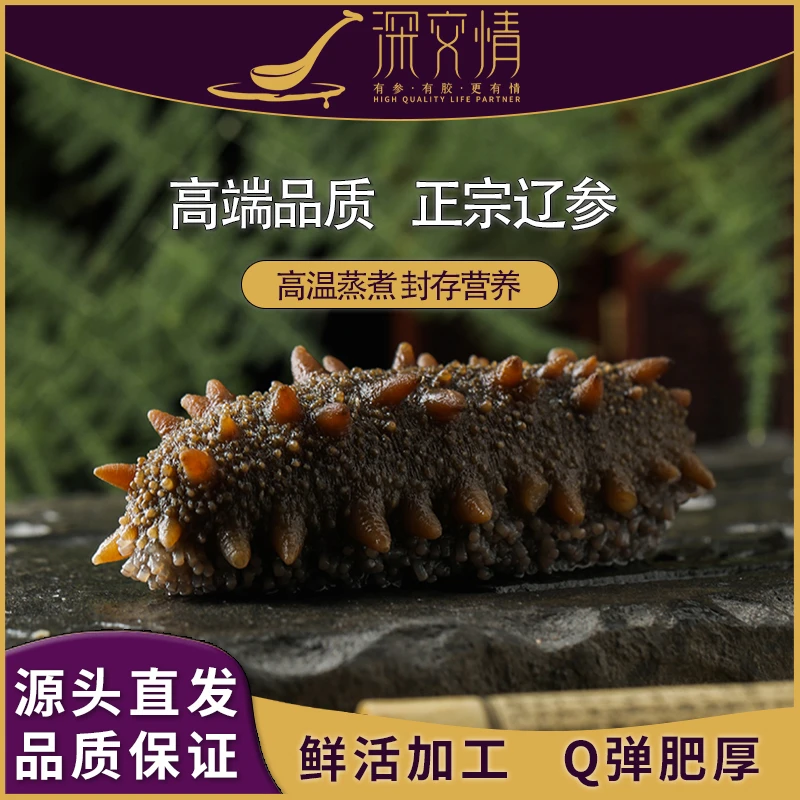 深交情辽刺参(8-10只/斤）到手三斤大约24-30只(单根10-12cm)