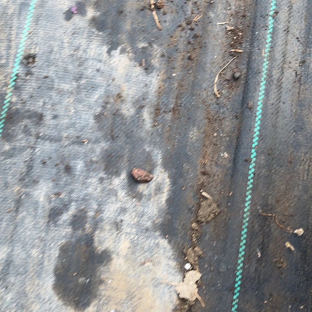 完全开放保温箱1111