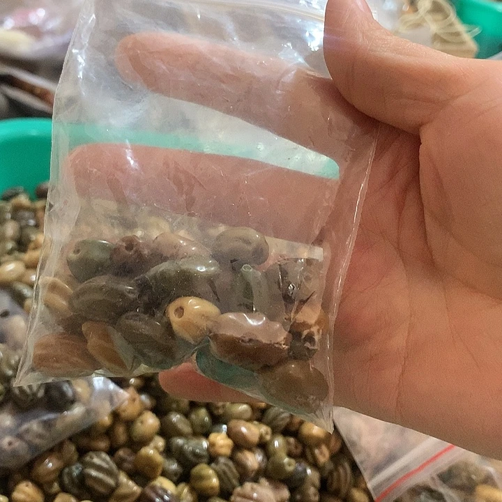 @***座千眼菩提吊坠龙脊