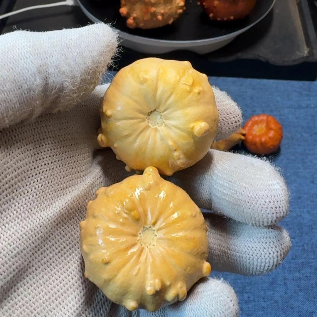 孙***具墨西哥七彩疙瘩葫芦