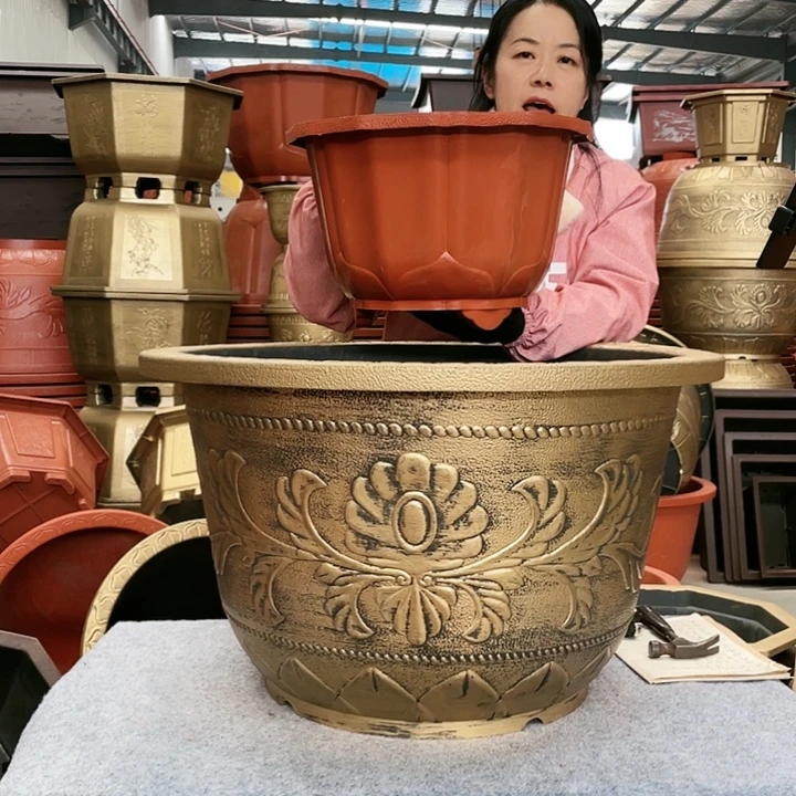 莲花盆红色四零六个