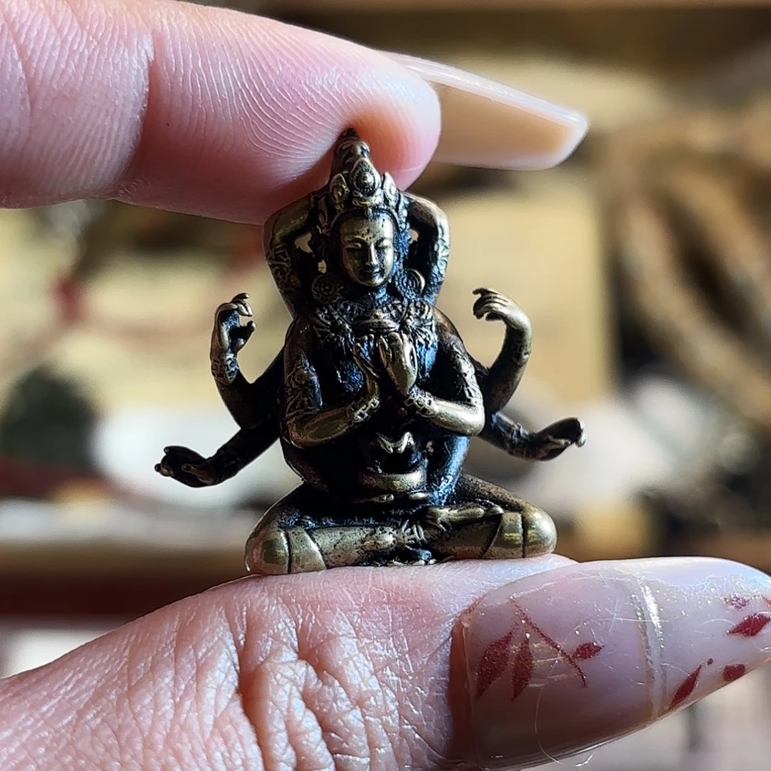 好好好好好好好好好看