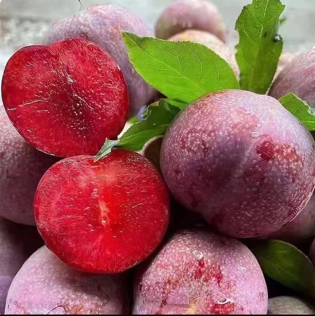 广西桂林红心三华李高山老树孕妇小孩都爱吃的水果