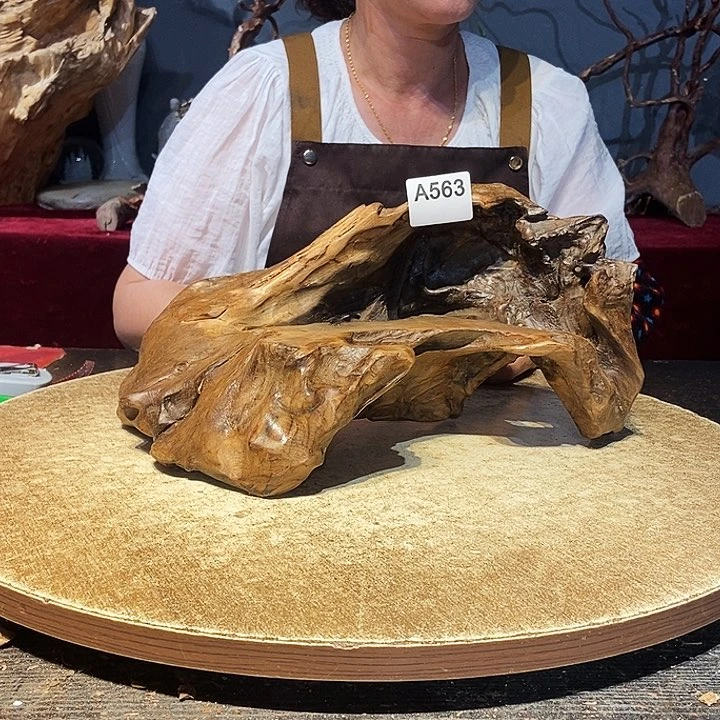 孙*娘563株木随行的小根艺