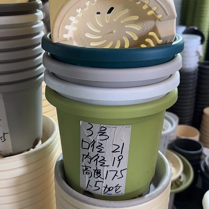 微瑕3#口径21带托果绿10套