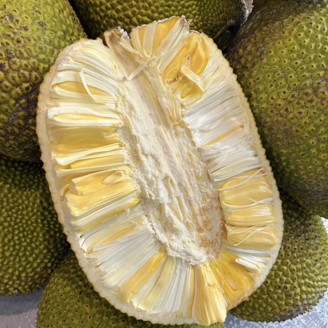 整个 菠萝蜜10—12斤 中个头 随机发