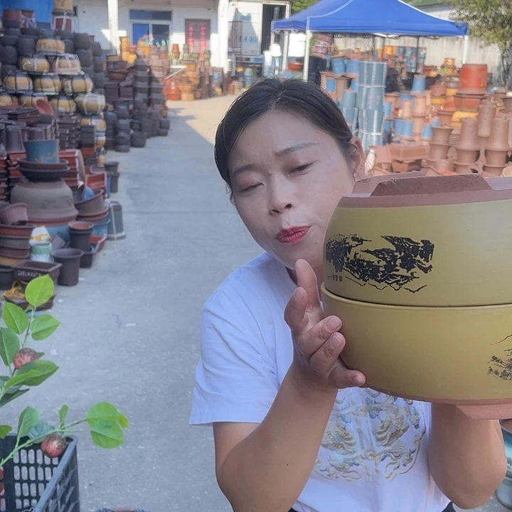 黄色江山如画小一对花盆紫砂花盆紫砂花盆