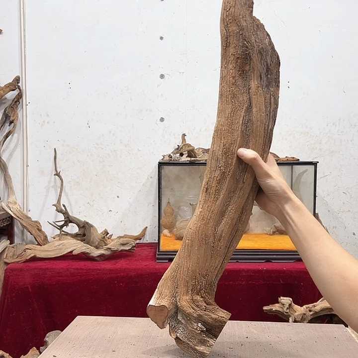 柏木四***༨我们的生活是以自己为中心