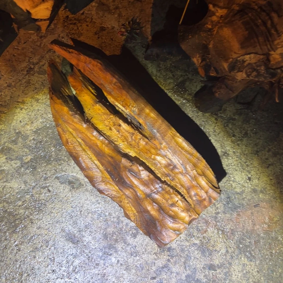 金丝楠辉**好22222222222