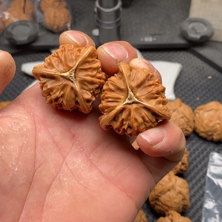 核桃把件L****y拼接宫灯8