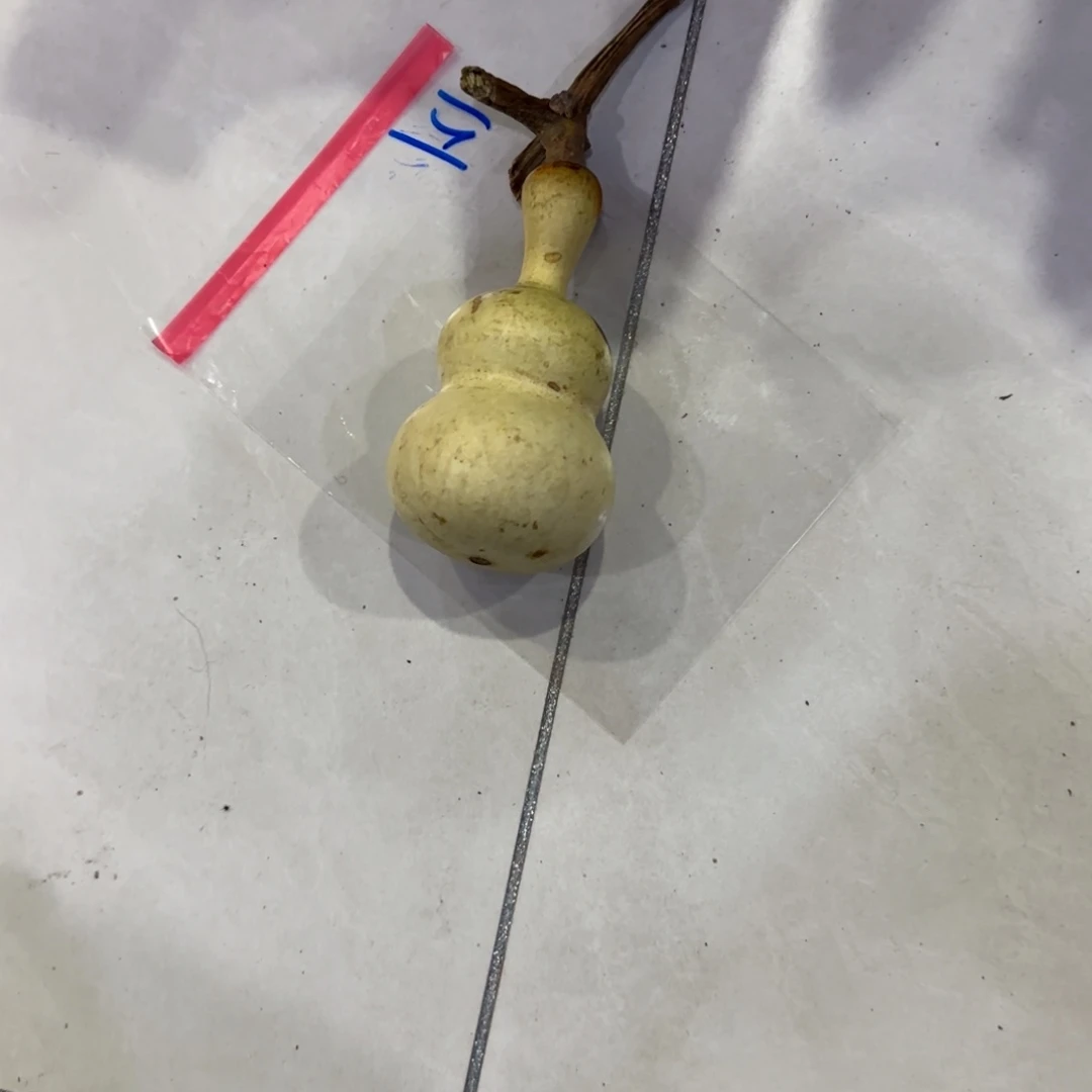 金***山葫芦乐乐利润摸秃咯哦哦乐乐