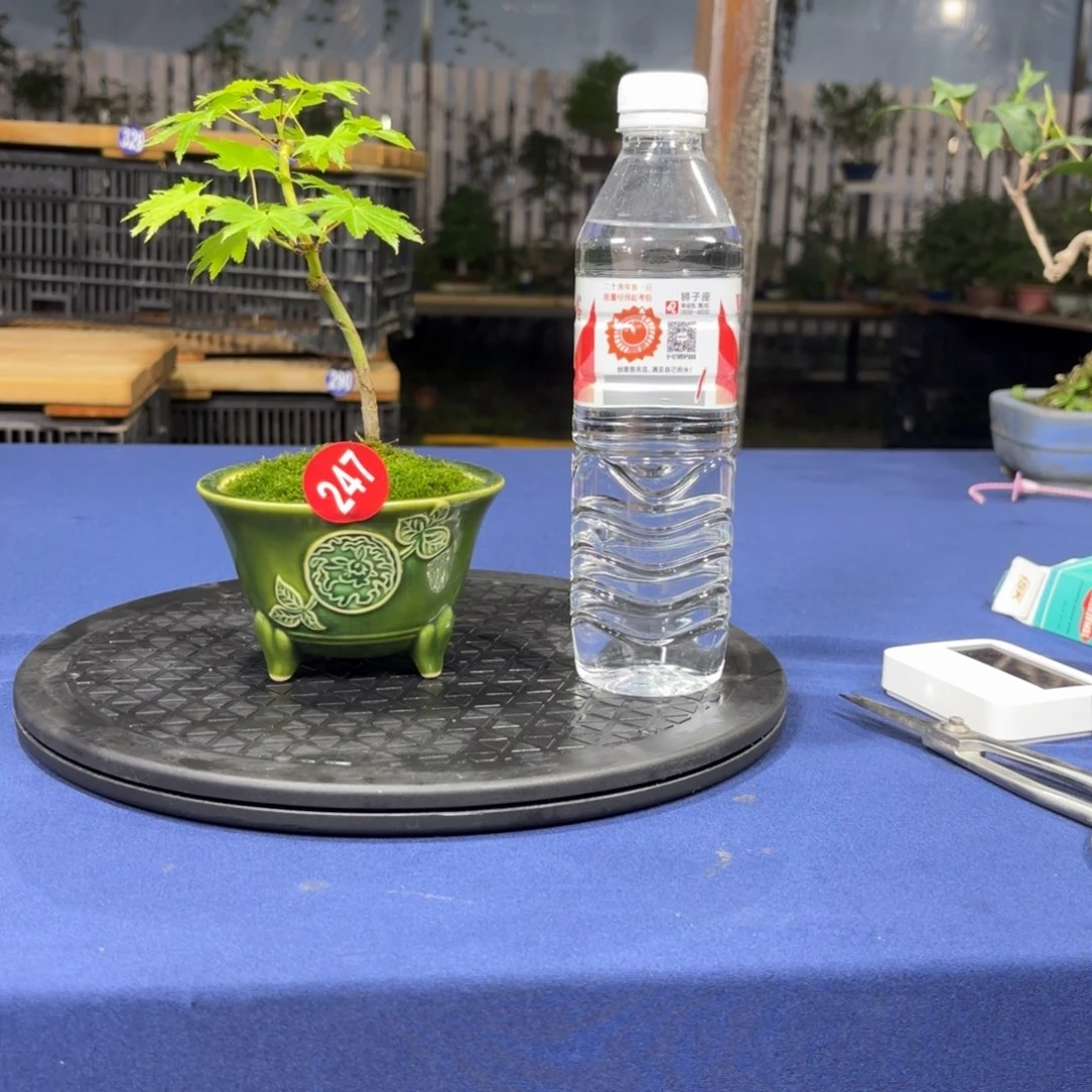 向****！大棚转让247号包邮