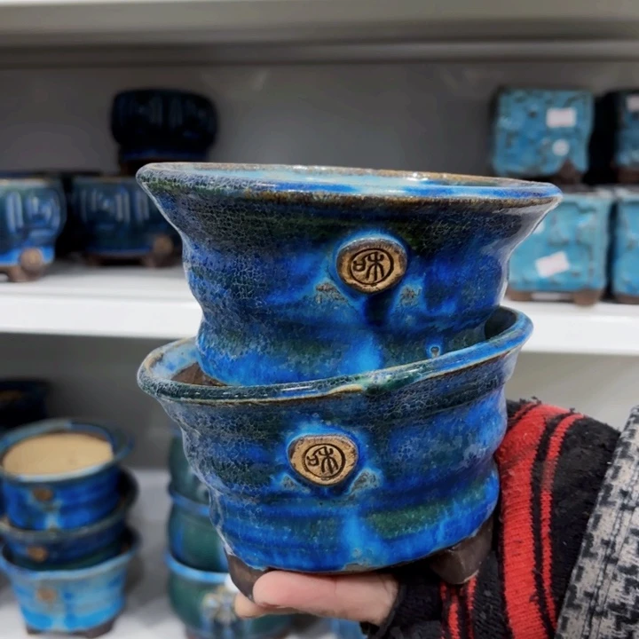 红陶内扣12月有个人