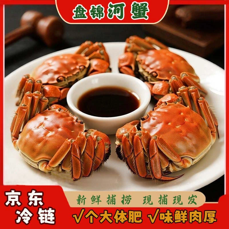 【活蟹】盘锦河蟹 1.4-1.7两 母蟹2-3斤整箱 12-18只左右 鲜活发货