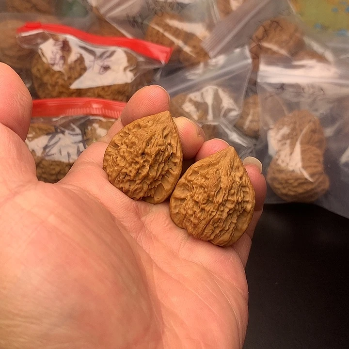 核桃朱雀31+手捻级