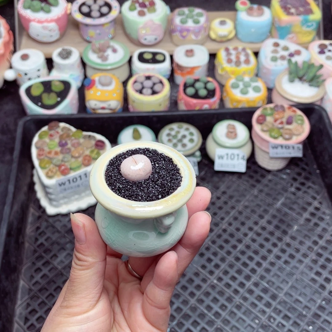 w1017 -零下地区拍保温箱-15支持寄养