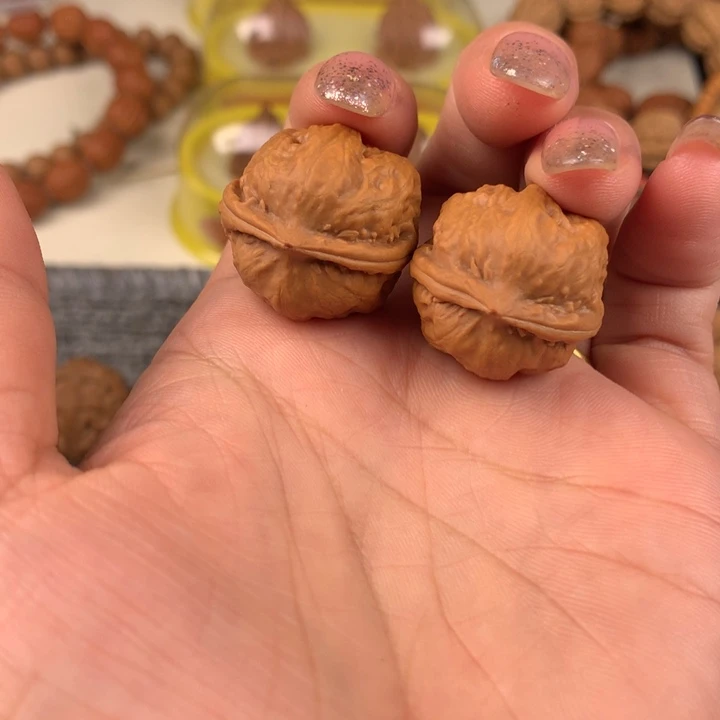 用****锁小金蝉。