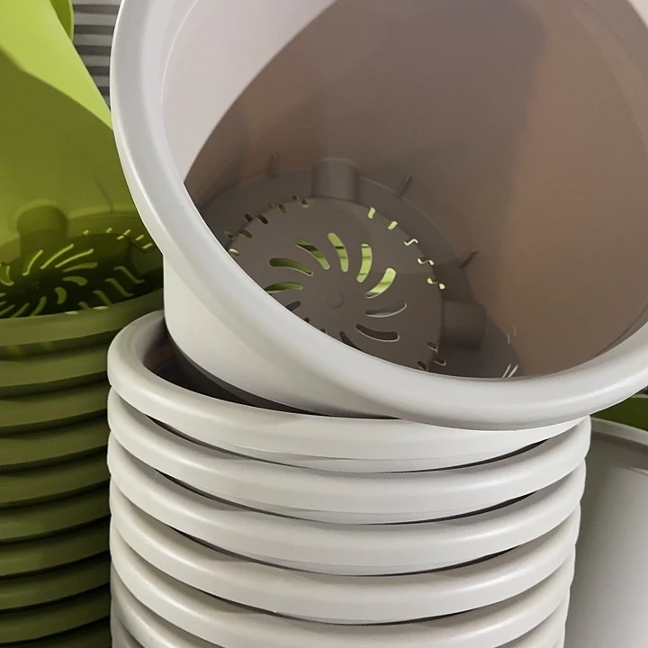 四季9号灰白无托4个