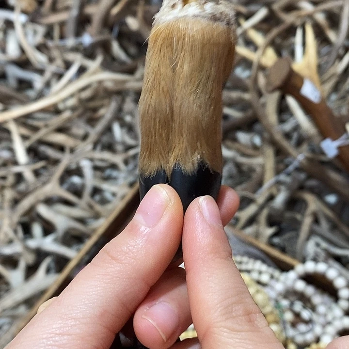 非金属鹿蹄鹿蹄鹿蹄鹿蹄