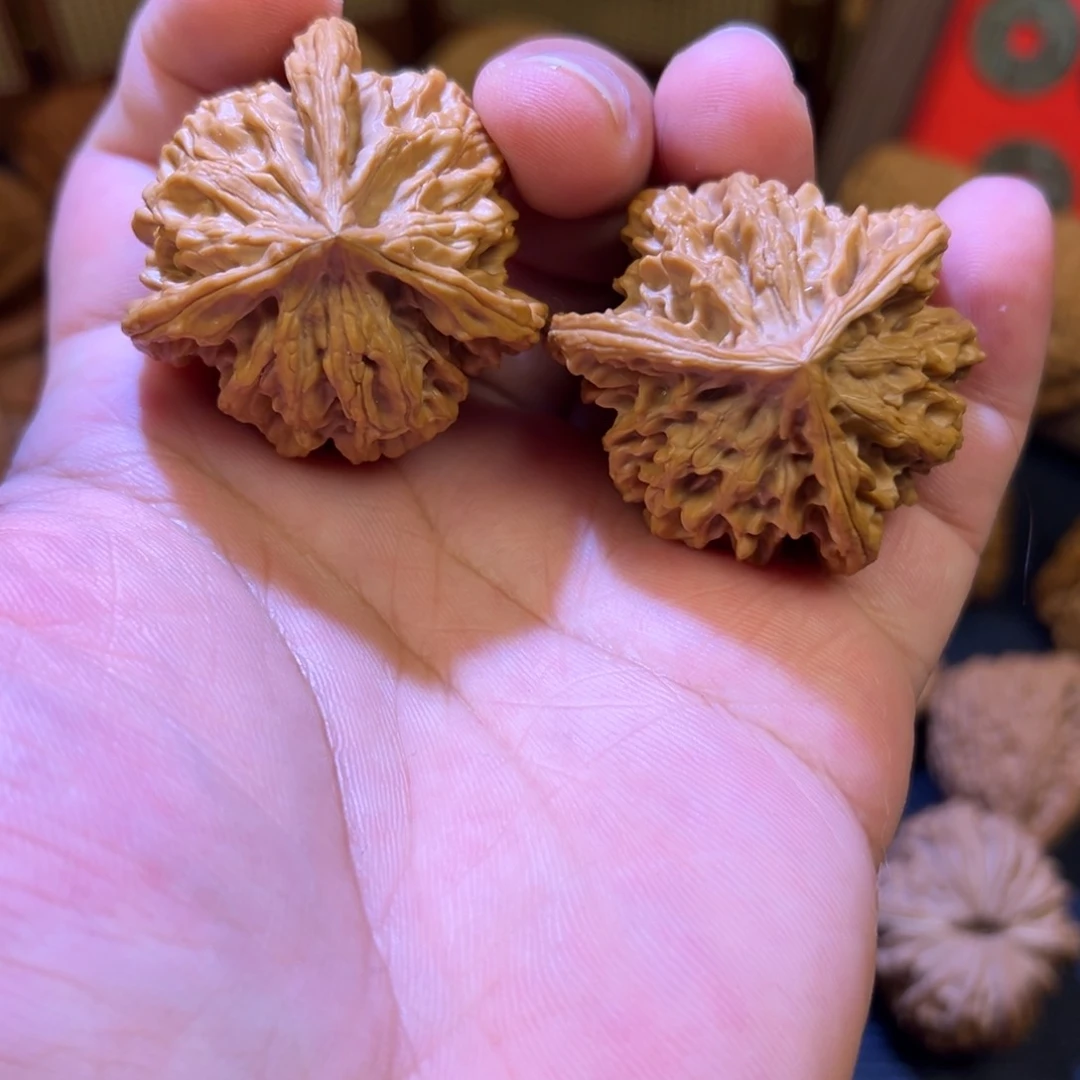 其他核桃41尺盘山正奔