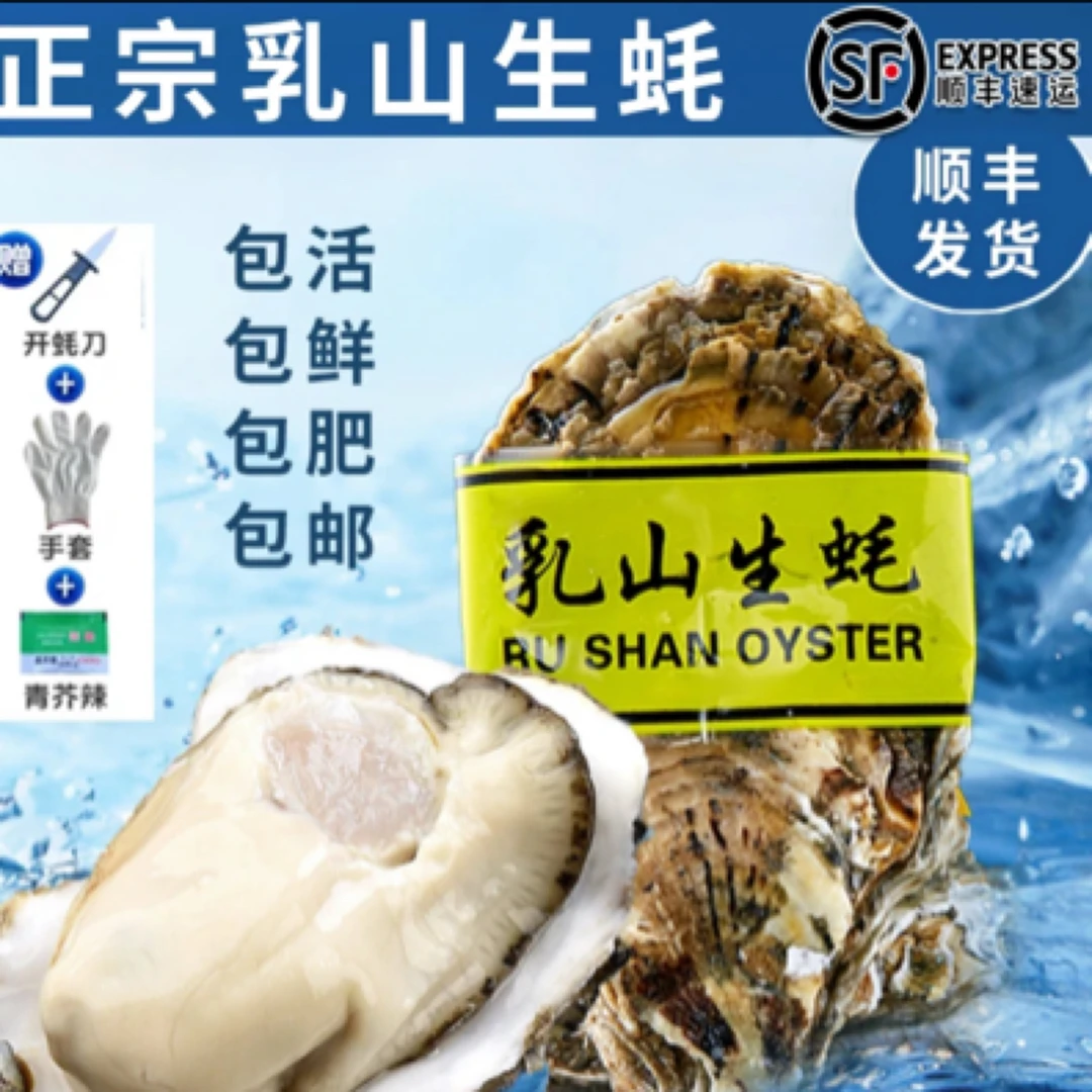 【顺丰次日达】鲜活乳山金标生蚝海鲜开播福利尝鲜家庭版(批零兼营)