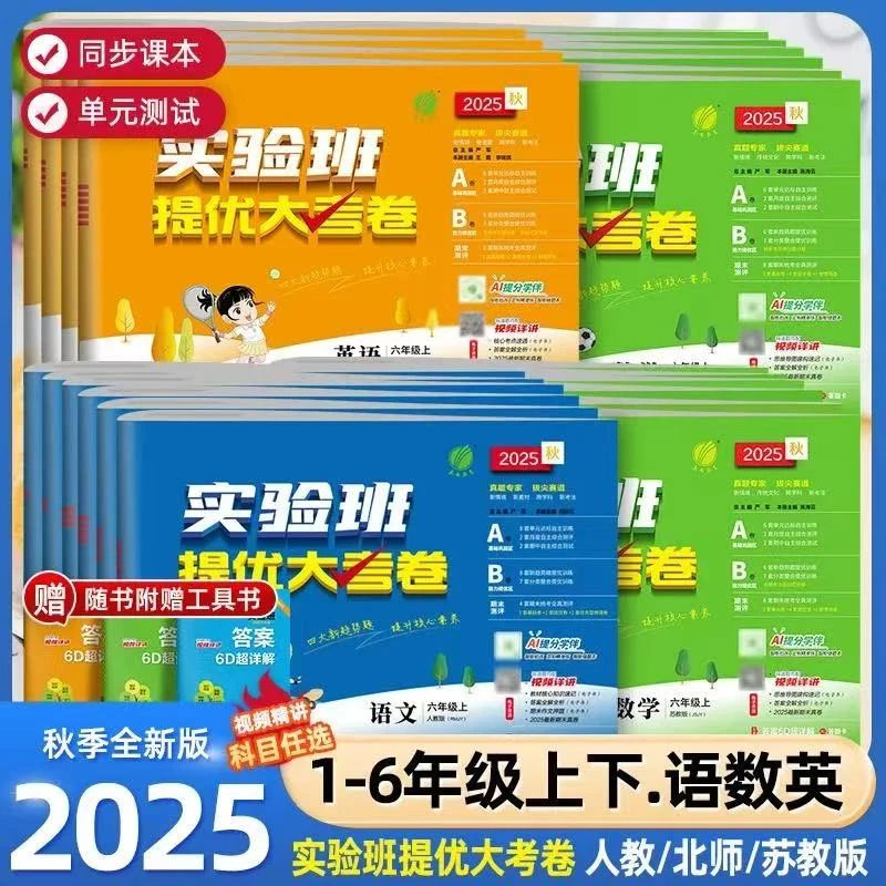 2025实验班提优大考卷一二三四五六年级上下册人教北师苏教版试卷