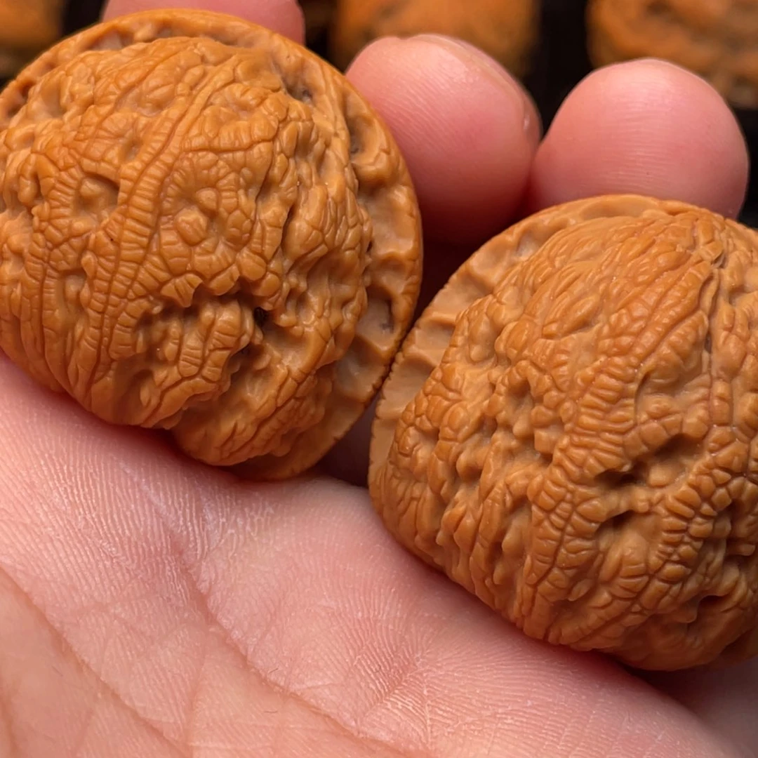 文玩核桃把件41尺寸金蟾背