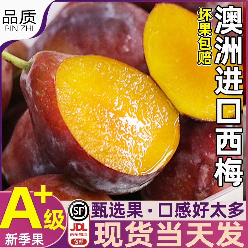 澳洲进口西梅新鲜水果大果空运西梅孕妇当季整箱甜顺丰包邮