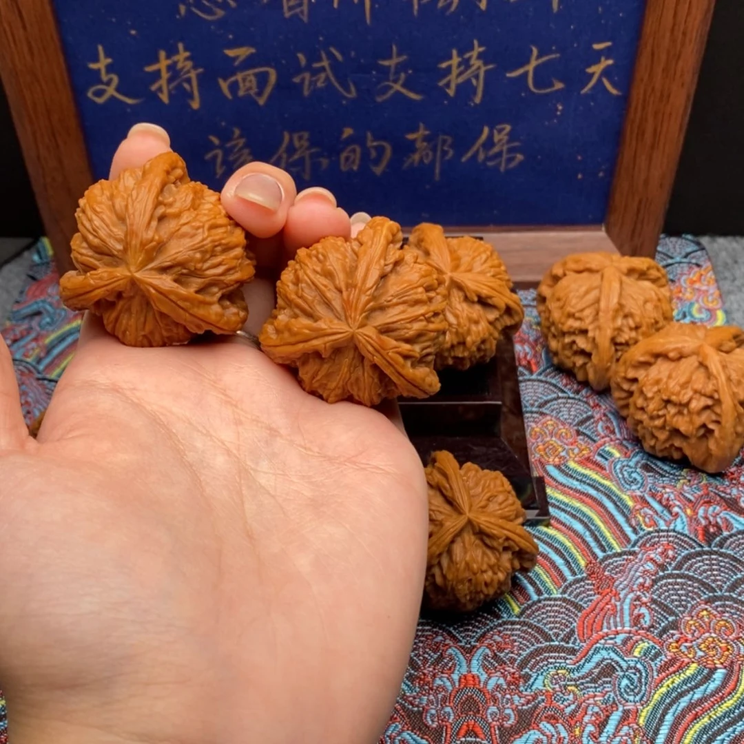 【闪购商品】镜**月白狮