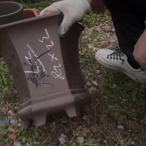 红陶紫砂花盆盆景盆栽