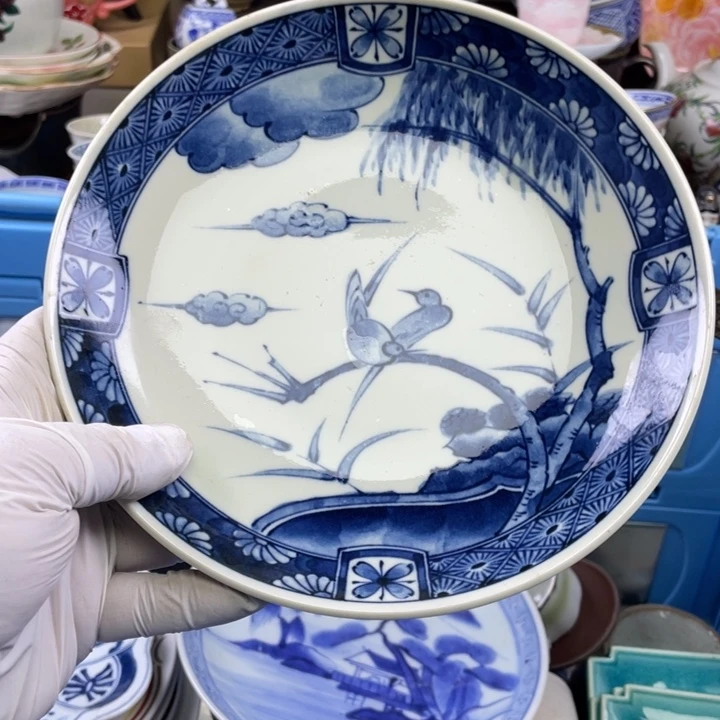 碟开播了开播了开播了