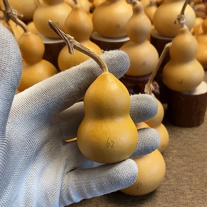 文玩葫芦 完美主义者 慎拍62