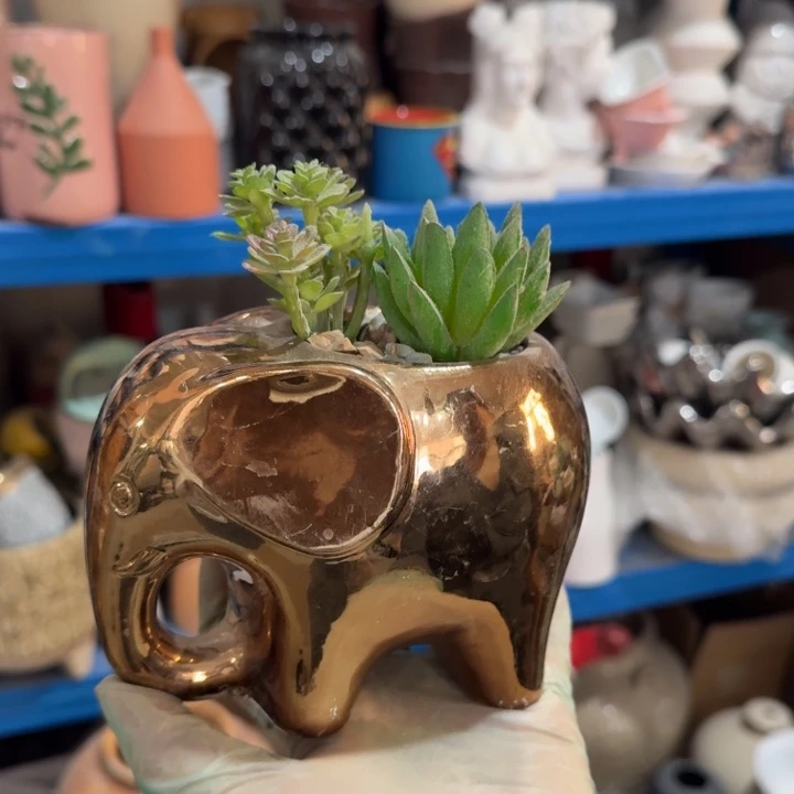 陶瓷，福利，尾单，瑕疵