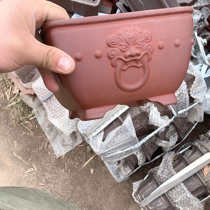 紫砂哈哈真的是太给力的样子就是