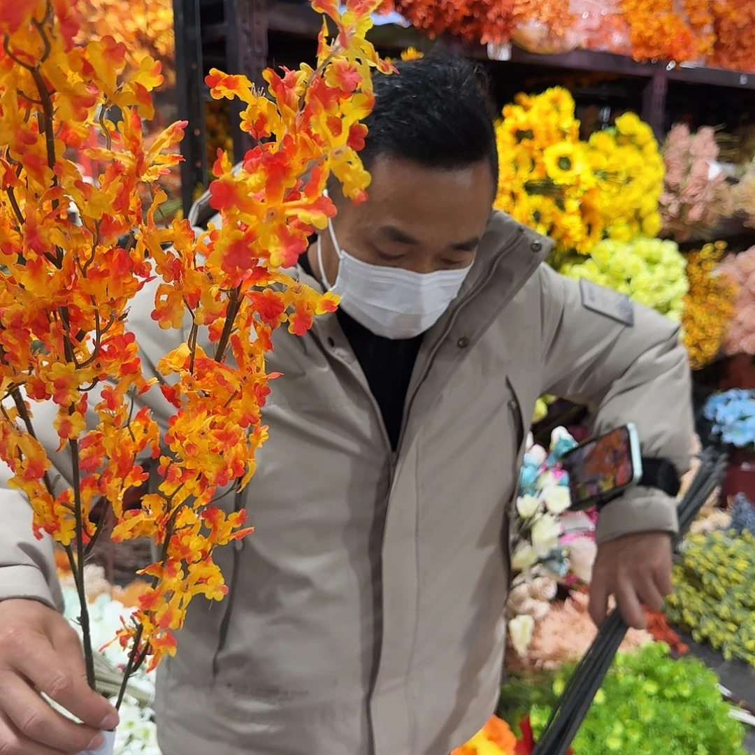 495号孤品打包8支