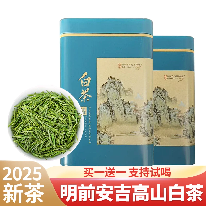 2025年早春白茶手工采摘安吉特产高山浓香耐泡茶叶绿茶原产地B01