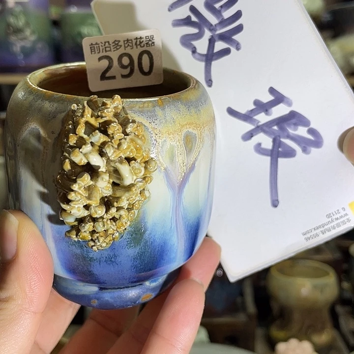 狼盆内口径5高度8